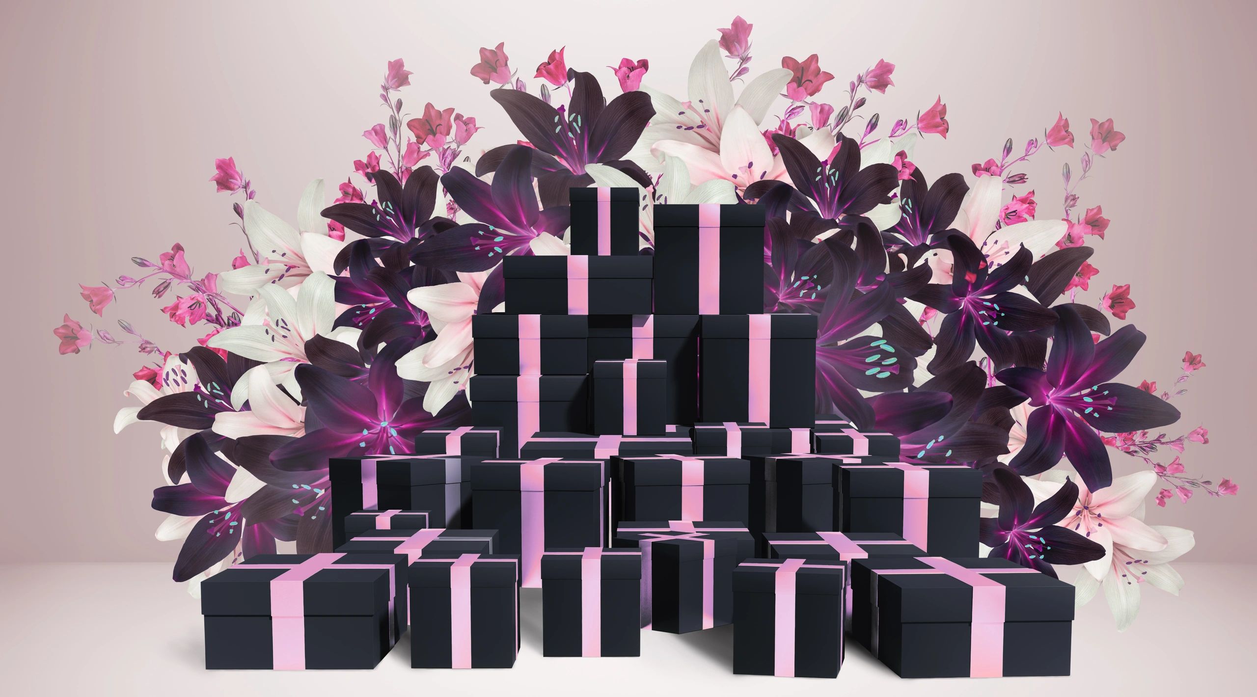 Colorful gift boxes arranged on a pink background